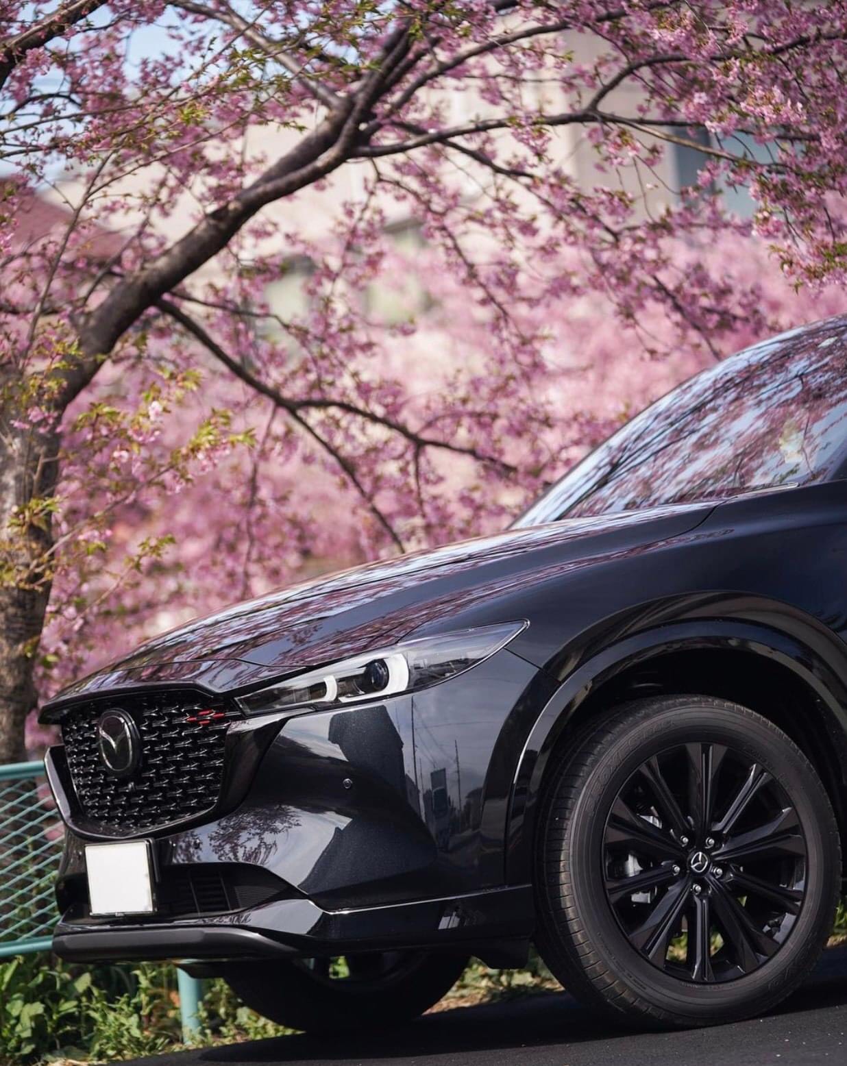 Mazda CX-5 Signature Premium AWD - Hình 5